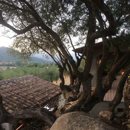 S'umbra De S'ozzastru