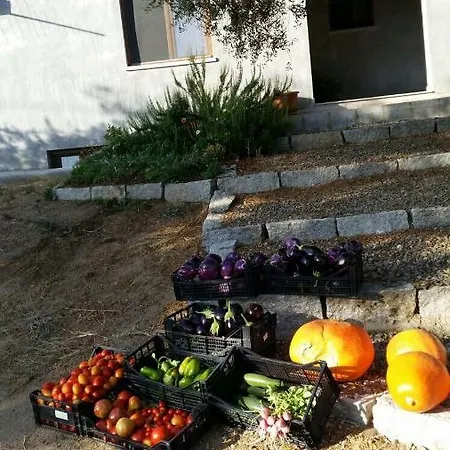 S'umbra De S'ozzastru *