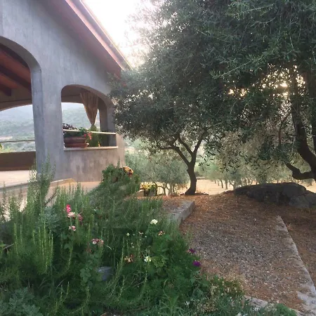 S'umbra De S'ozzastru