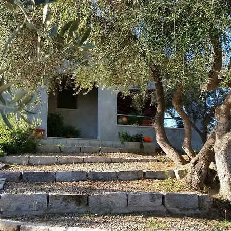 S'umbra De S'ozzastru 奥尔戈索洛