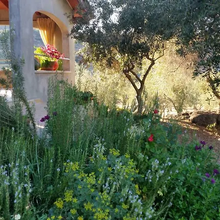 度假居 S'umbra De S'ozzastru *