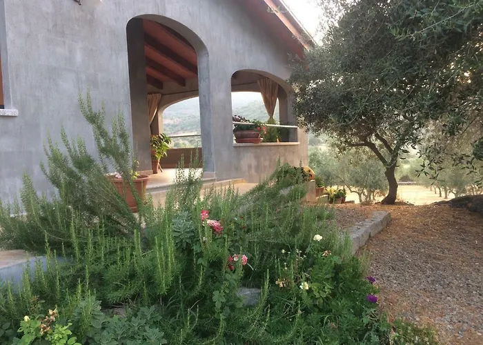 S'umbra De S'ozzastru * 奥尔戈索洛