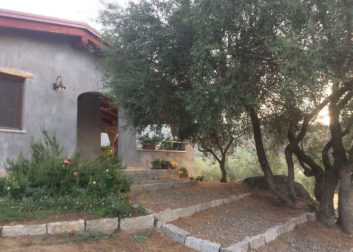 S'umbra De S'ozzastru *