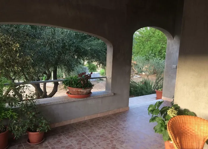 S'umbra De S'ozzastru * 奥尔戈索洛