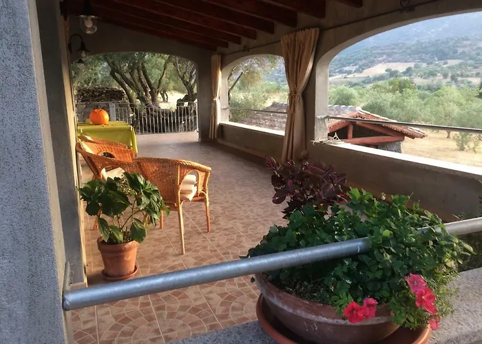 S'umbra De S'ozzastru * 奥尔戈索洛