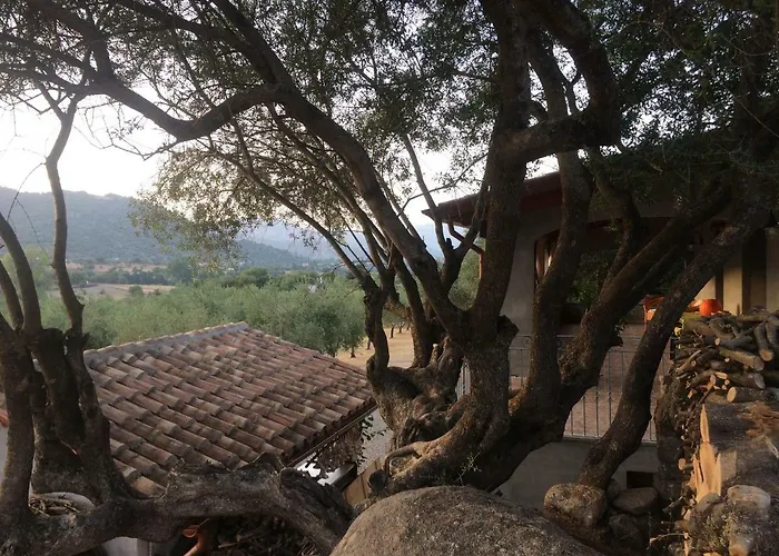 S'umbra De S'ozzastru