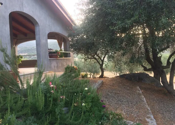 S'umbra De S'ozzastru