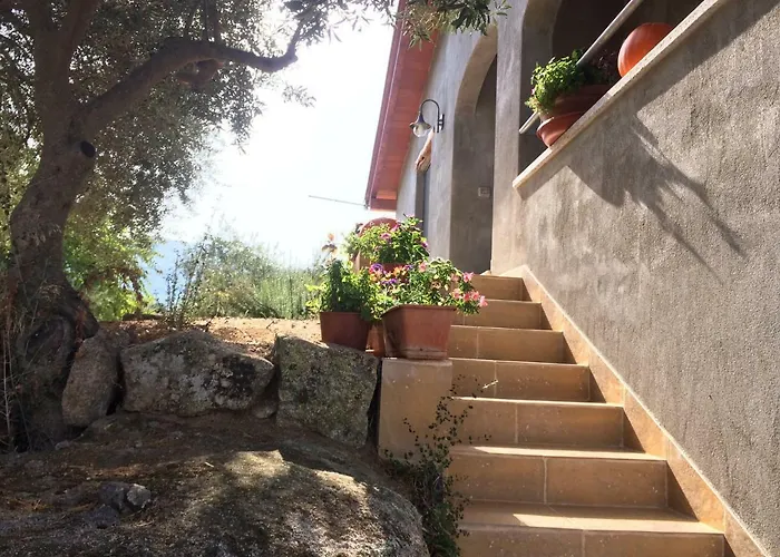 S'umbra De S'ozzastru * 奥尔戈索洛