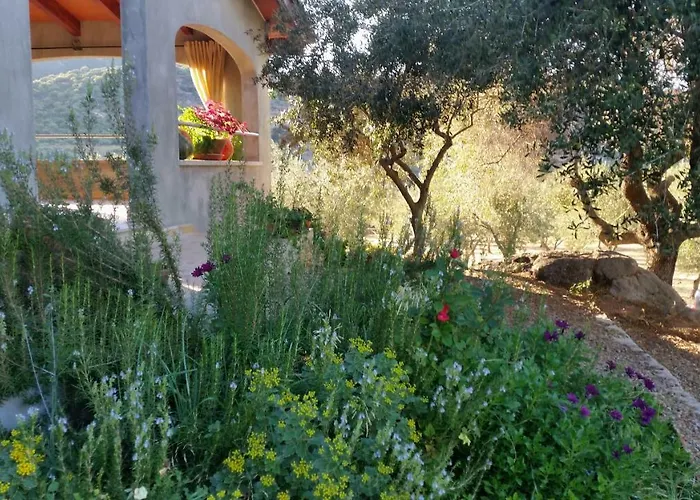 Vakantiehuis S'umbra De S'ozzastru *